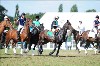 UKPA NC SAT_2499